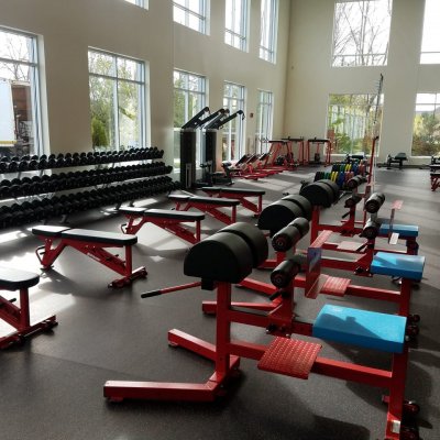 overview of gym equipment